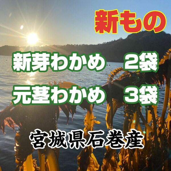 新芽わかめ　元茎わかめセット　宮城県石巻産　新もの