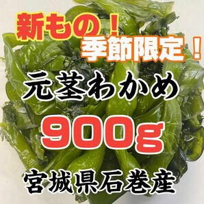 元茎わかめ　宮城県石巻産　新もの