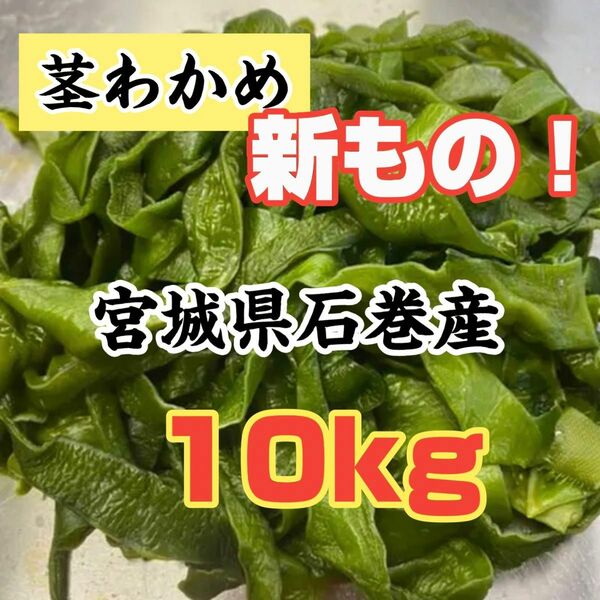 茎わかめ　宮城県石巻産　新もの！