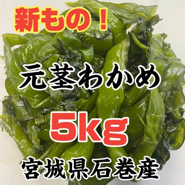 元茎わかめ　宮城県石巻産　新もの