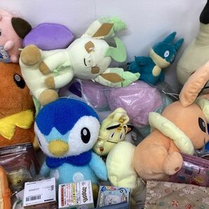 【現状】ポケットモンスター ホゲータ リーフィア グレイシア ぬいぐるみ フィギュア 他 / ポケモン 他の画像3