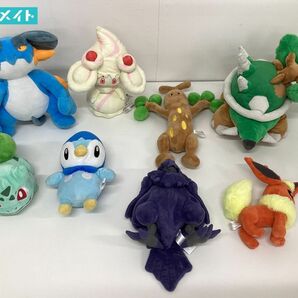 【現状】 ポケモンセンター限定 ポケットモンスター ぬいぐるみ フシギダネ マホイップ ポッチャマ ラグラージ 他 / ポケモンの画像1