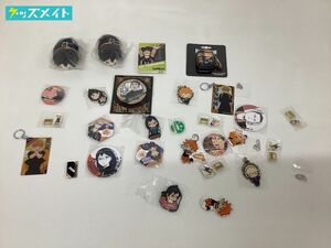 【現状】 ハイキュー!! 烏野高校 グッズ まとめ売り 缶バッジ もちもちマスコット アクリルキーホルダー 日向翔陽 月島蛍 他