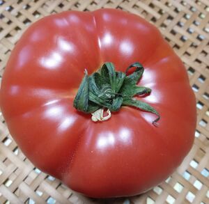 地産 新鮮大玉トマト 2個=700g スナップえんどう300g 合計=1kg 