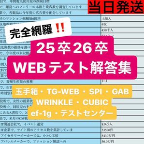 WEBテスト解答集 25卒【本日まで値下げ】