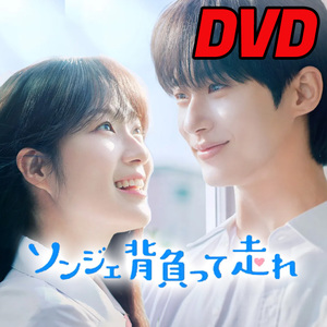 ソンジェ背負って走れ　★5/29 発送予定 D719 「im」 DVD 「fine」 【韓国ドラマ】 「andu」