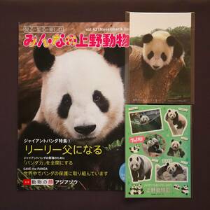 【比力/力力】 日本パンダ保護協会 ビーリー リーリー ポストカード みんなの 上野動物園 vol.62 毎日パンダ 松坂屋 ステッカー シンシン