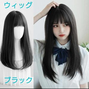 ウィッグ コスプレ 黒髪 ブラック ロング 自然 セミロング ストレート 黒 かつら8