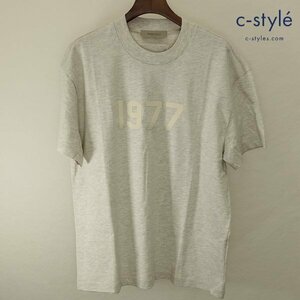 N503a [春夏][人気] FOG ESSENTIALS エフオージーエッセンシャルズ 半袖Tシャツ M ライトグレー 1977ロゴ | トップス K