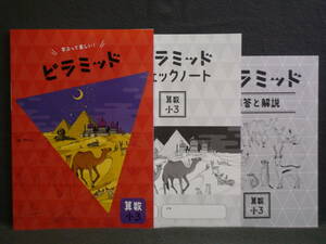 ★ 即発送 ★ 新品 最新版 ピラミッド 算数 小３ 解答・確認テスト付 ３年