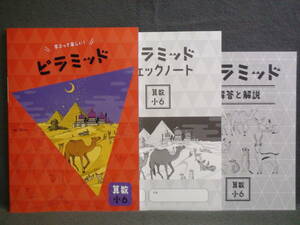 ★ 即発送 ★ 新品 最新版 ピラミッド 算数 小６ 解答・確認テスト付 ６年