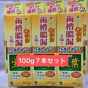 薬用生葉　ひきしめ実感タイプ100g7本