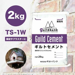 ギルトセメント TS-1W 2kg