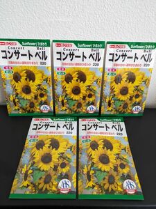トーホク花の種L☆コンサートベル☆花粉の出ない房咲きひまわり☆１種５袋☆園芸ガーデニング