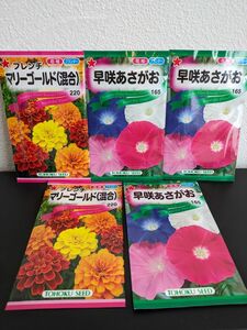 トーホク花の種M☆早咲きあさがお＆マリーゴールド☆２種５袋☆園芸ガーデニング