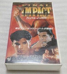 ファイナル・インパクト Final Impact ロレンツォ・ラマス/マイク・ワース レア 廃盤クンフー・マーシャルアーツアクション 未DVD化