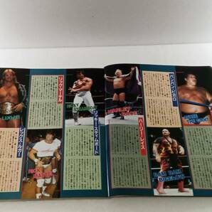 ´88 プロレス・オールスター SUPER カタログ ゴング確認格闘技３月号増刊の画像3