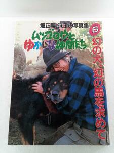 ムツゴロウ　と　ゆかいな仲間たち　6　幻の犬、幻の馬を求めて　畑正憲　珠の写真集　朝日出版社