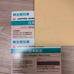 JAL 日本航空 株主優待 2枚【送料無料】(有効期限2025年5月31日)の画像1