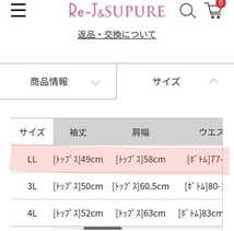 大きいサイズLL ニットスリーピース　3wayセットアップ パンツスーツ　3wayアンサンブルRe-J＆SUPURE　_画像8