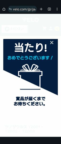 グローで何か当たりました。