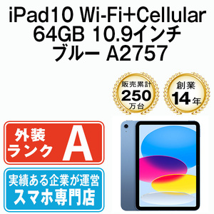 美品 iPad10 64GB 10.9インチ ブルー A2757 Wi-Fi+Cellular 10.9インチ 第10世代 2022年 本体 中古 SIMフリー