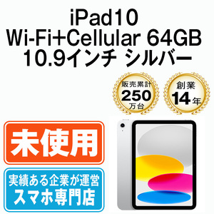 新品 iPad10 64GB 10.9インチ シルバー A2757 Wi-Fi+Cellular 10.9インチ 第10世代 2022年 本体 未使用品 SIMフリー