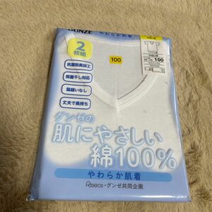 （ハ） グンゼ　半袖V袖　 肌着　2枚組【100】