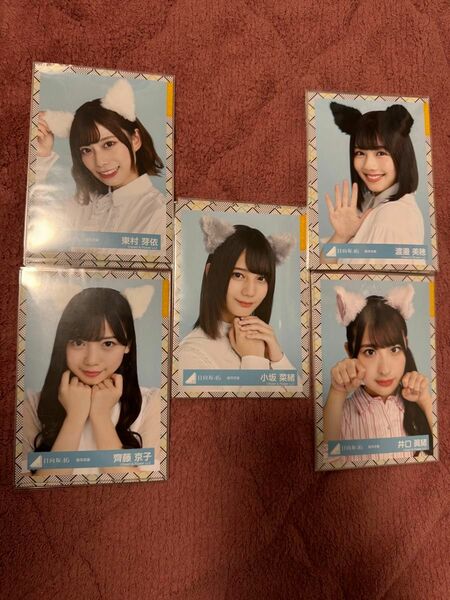 日向坂46 生写真　猫耳　コンプ(4種) 5コンプ　まとめ売り　セット
