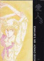 ミスタ－味っ子■えみくり「愛人 ４冊セット」陽一×一馬 458P_画像4