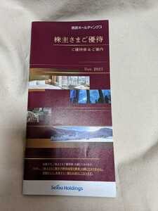 西武ホールディングス 株主優待 1000株冊子　1冊（共通割引券1000円×10枚他）