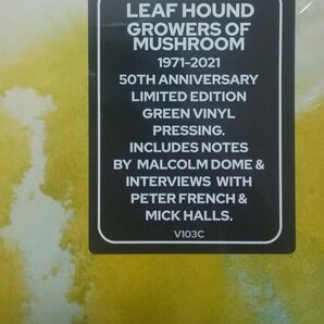 新品未開封 LEAF HOUND/GROWERS OF MUSHROOM/リーフハウンド 50TH ANNIVERSARY EDITION GREEN COLOR 180g VINYL LP BLACK CAT BONES DECCAの画像3