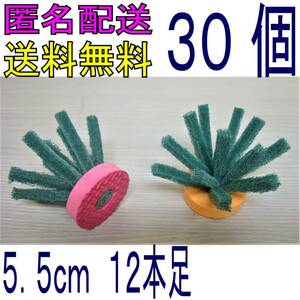 【 S-３０個 】メダカの産卵床 （５.５ｃｍ　１２本足）