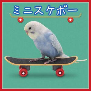  Mini скейтборд маленькая птица маленький размер длиннохвостый попугай bird игрушка игрушка домашнее животное 