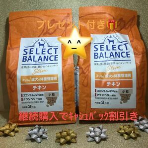 セレクトバランス スリム チキン 小粒 3kg