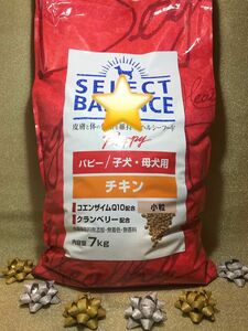 セレクトバランス パピー/子犬・母犬用 チキン 小粒 7kg