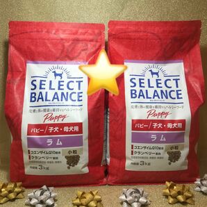 セレクトバランス　パピー/子犬・母犬用 ラム　小粒　3kg