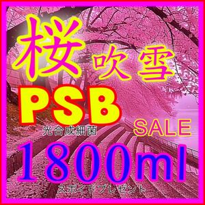 ☆ 桜　吹雪セール　PSB光合成細菌1800ml&3mlスポイド付　