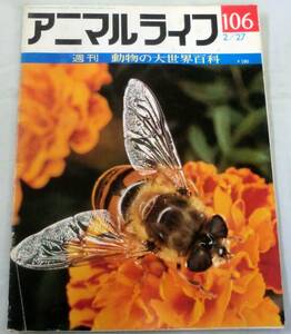 古書◆雑誌◆S48年 週刊アニマルライフ第１０６号 ◆ ナミハナアブ★ハーテビースト★ハト★バトラコイデス★ハナグマ★ハナゴンドウ★