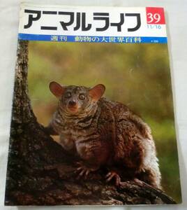  старинная книга * журнал *S46 год еженедельный животное жизнь no. 39 номер * хамелеон * утка олень * утконос *kaya мышь *kalakala* glaco *