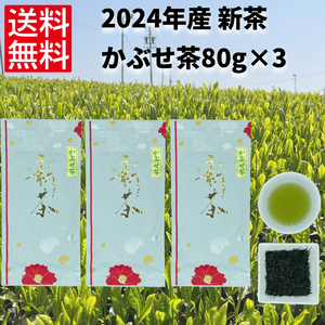 新茶 日本茶 緑茶 煎茶 お茶 伊勢茶 一番茶 【2024年 初摘み 新茶 かぶせ茶80g×3】
