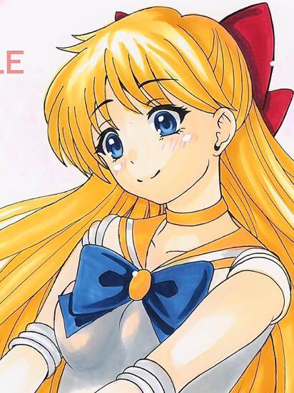 Ilustración de obra de arte dibujada a mano de Doujin ☆ Sailor Venus, historietas, productos de anime, ilustración dibujada a mano