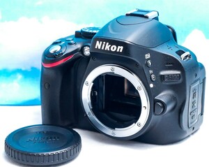 Nikon D5100 ボディ★画面が反転する！★デジタル一眼レフ！