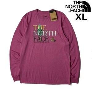 1円～!売切!【正規新品】THE NORTH FACE◆L/S GRAPHIC INJECTION TEE 長袖 Tシャツ ロンT US限定 男女兼用 キャンプ(XL)ピンク 180902-20の画像1