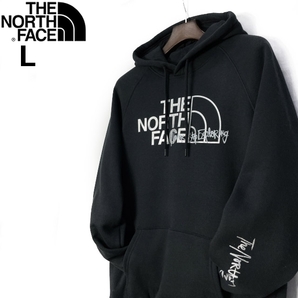 1円～!売切!【正規新品】THE NORTH FACE W GRAPHIC INJECTION HOODIE パーカー US限定 メタリックシルバー 男女兼用 裏起毛(L)黒 181130-23の画像2