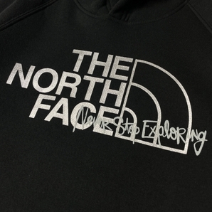 1円～!売切!【正規新品】THE NORTH FACE W GRAPHIC INJECTION HOODIE パーカー US限定 メタリックシルバー 男女兼用 裏起毛(L)黒 181130-23の画像4