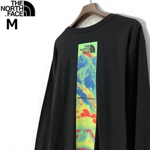 1円～!売切!【正規新品】THE NORTH FACE◆L/S GRAPHIC INJECTION TEE 長袖 Tシャツ ロンT US限定 グラフィック レインボー(M)黒 180902-20の画像2