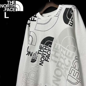 1円～!売切!【正規新品】THE NORTH FACE◆GRAPHIC INJECTION CREW プルオーバー トレーナー US限定 レア グラフィック(L)白 181130-28の画像2