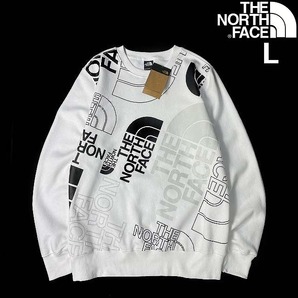 1円～!売切!【正規新品】THE NORTH FACE◆GRAPHIC INJECTION CREW プルオーバー トレーナー US限定 レア グラフィック(L)白 181130-28の画像1