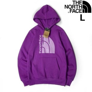 1円～!売切!【正規新品】THE NORTH FACE◆JUMBO HALF DOME HOODIE パーカー US限定 グラフィック ビッグハーフドーム(L)紫 181130-33